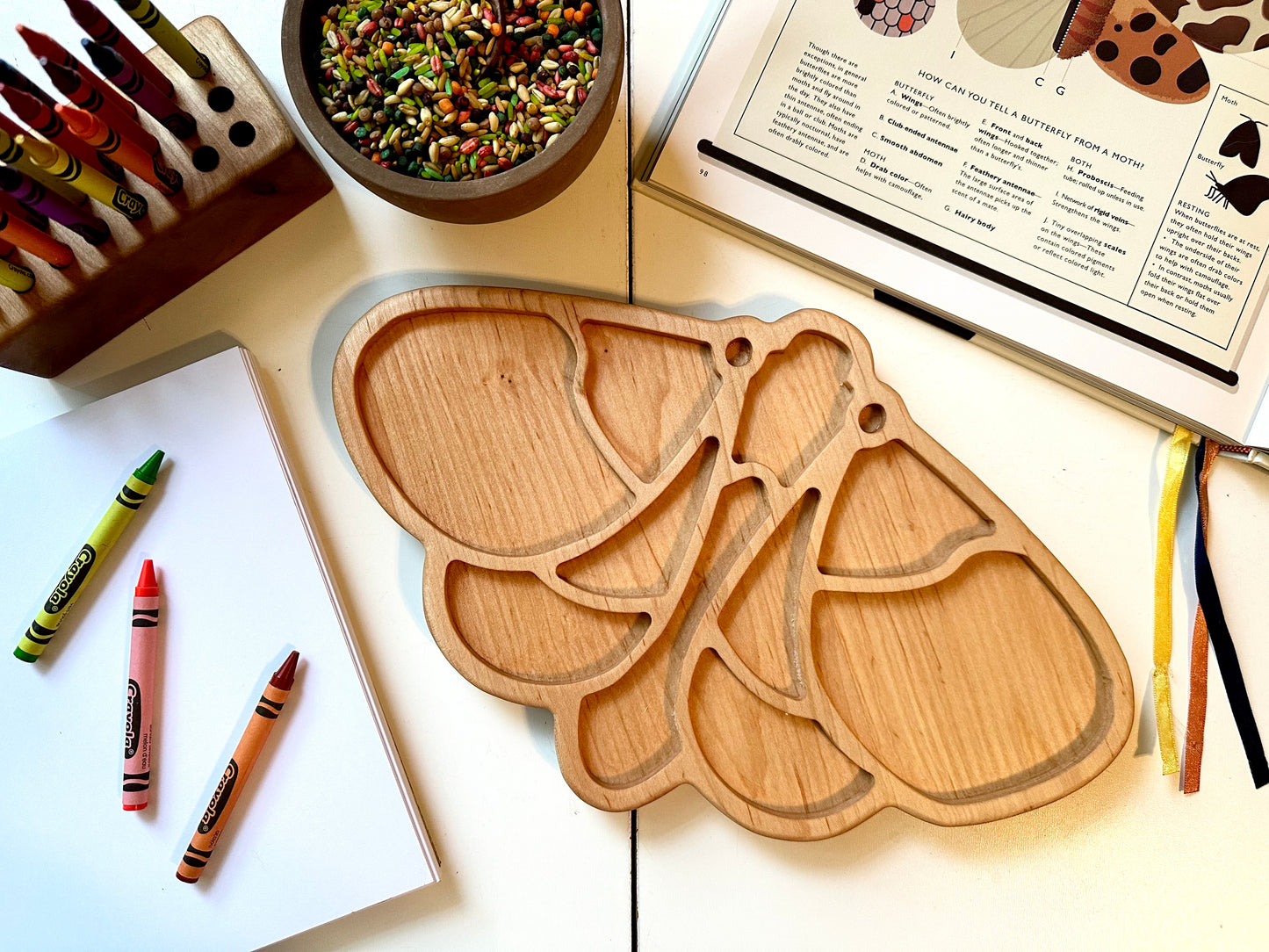 Moth sensory tray