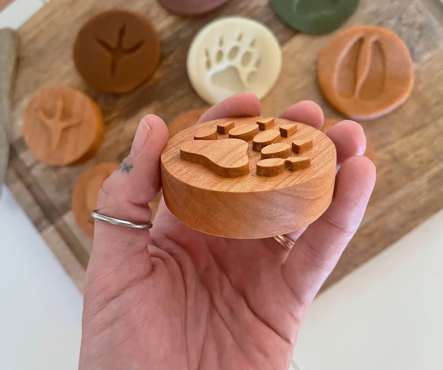 Mountain animal tracks play dough stamp set