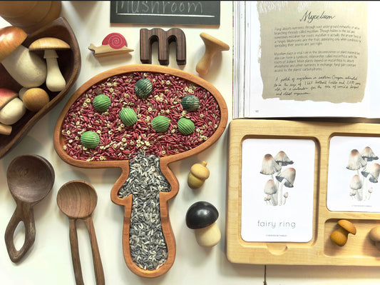 MUSHROOM cherry Wood sensory tray