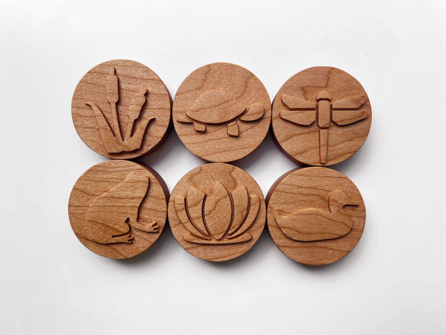 Pond ecosystem play dough stamps