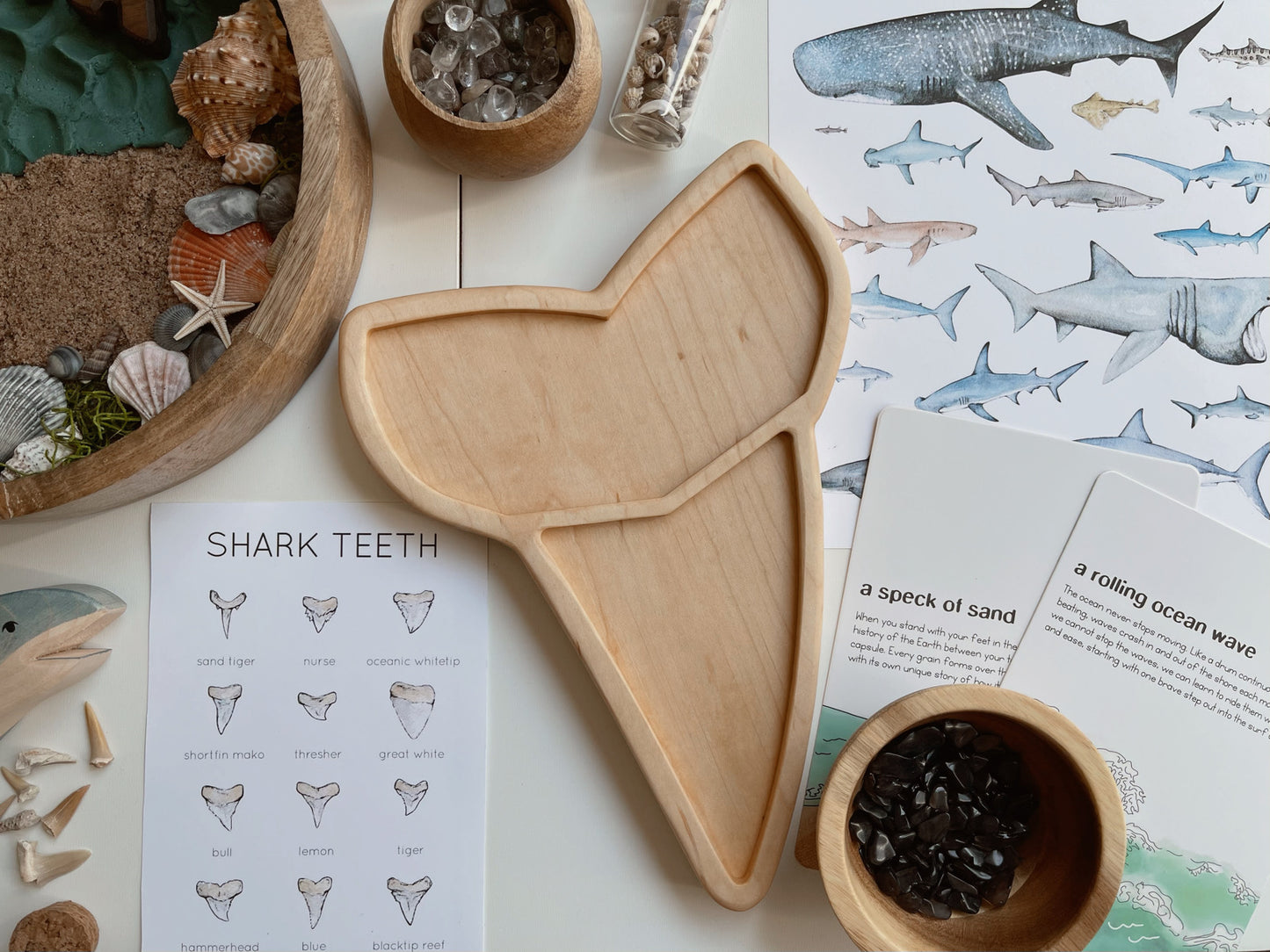 Shark tooth Fossil sensory tray