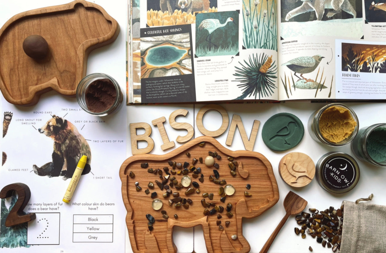 Bison cherry wood sensory tray