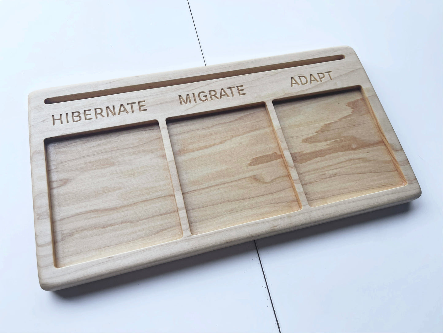 Adaptation educational activity tray