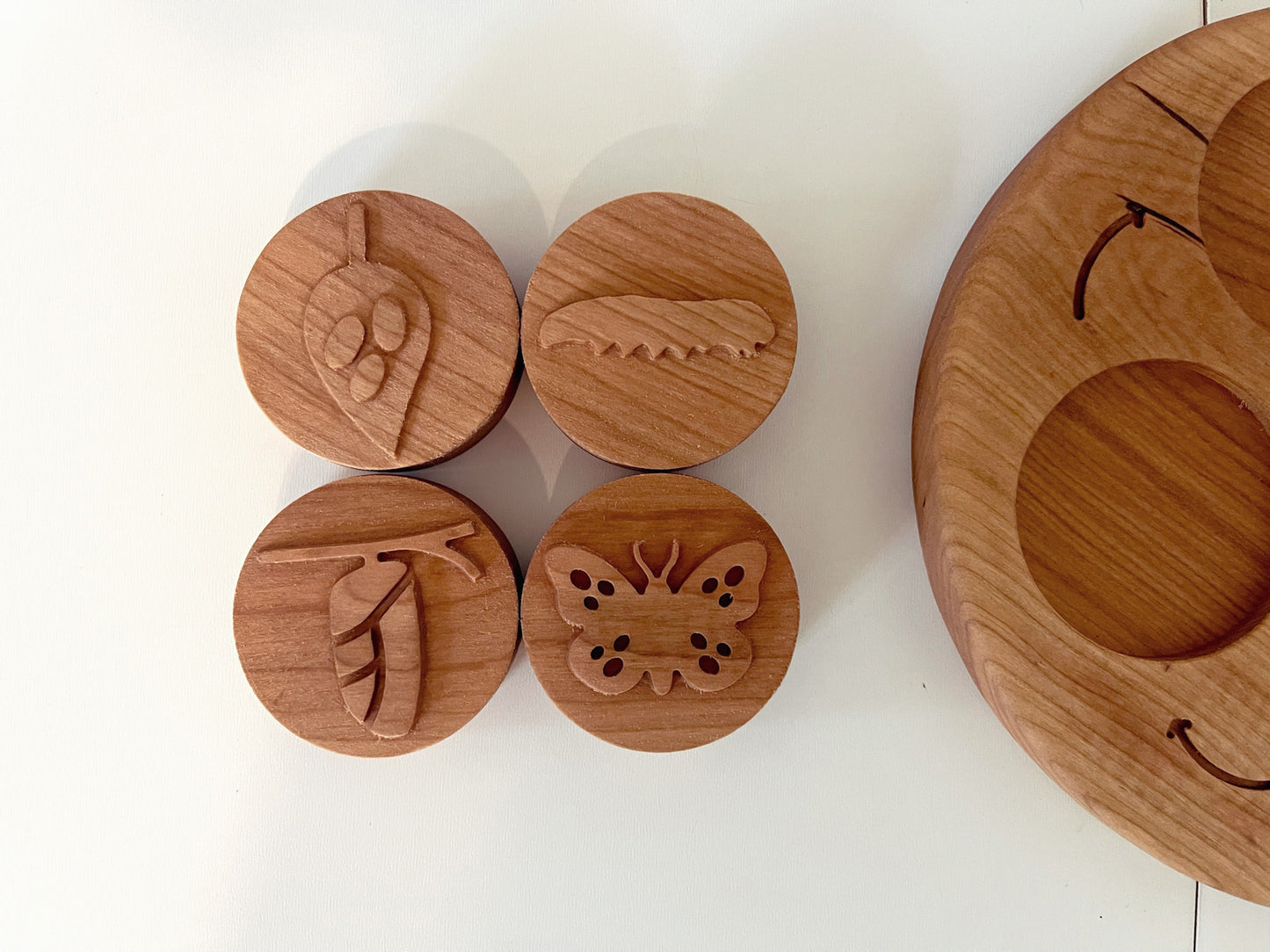 BUTTERFLY life cycle cherry wood stamps