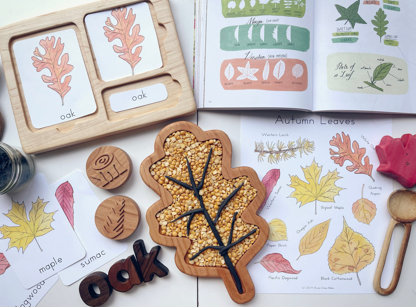 Oak leaf cherry wood sensory tray