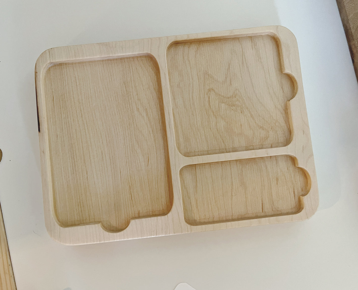 Montessori inspired nomenclature 3 part activity card tray