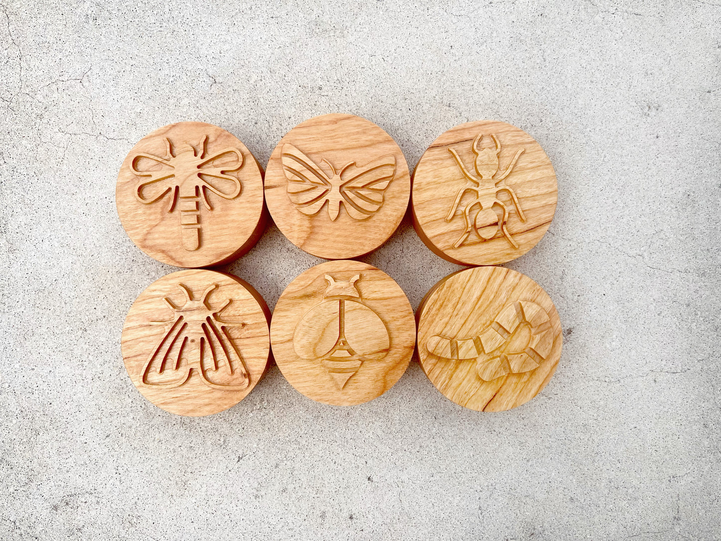 BUGS wooden play dough STAMP SET