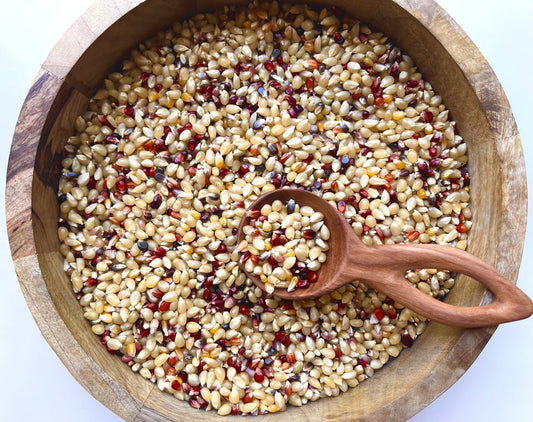 Indian corn sensory filler base