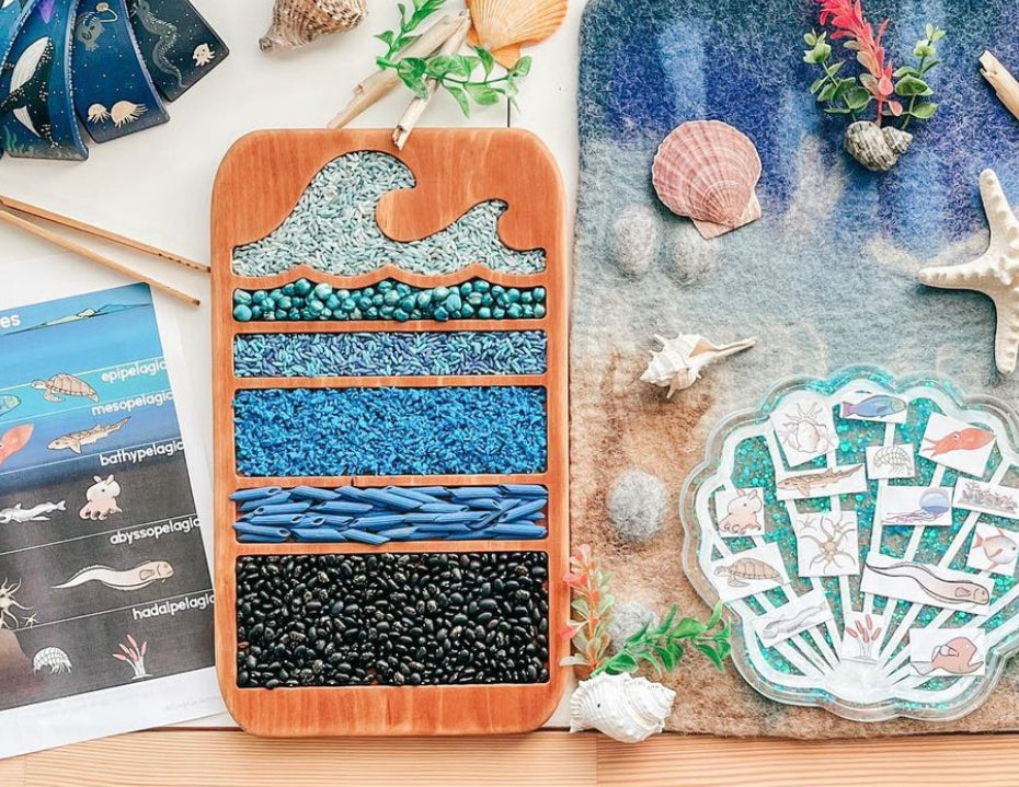 Ocean layers educational tray