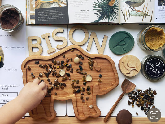 Bison cherry wood sensory tray