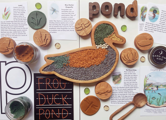 Pond ecosystem play dough stamps