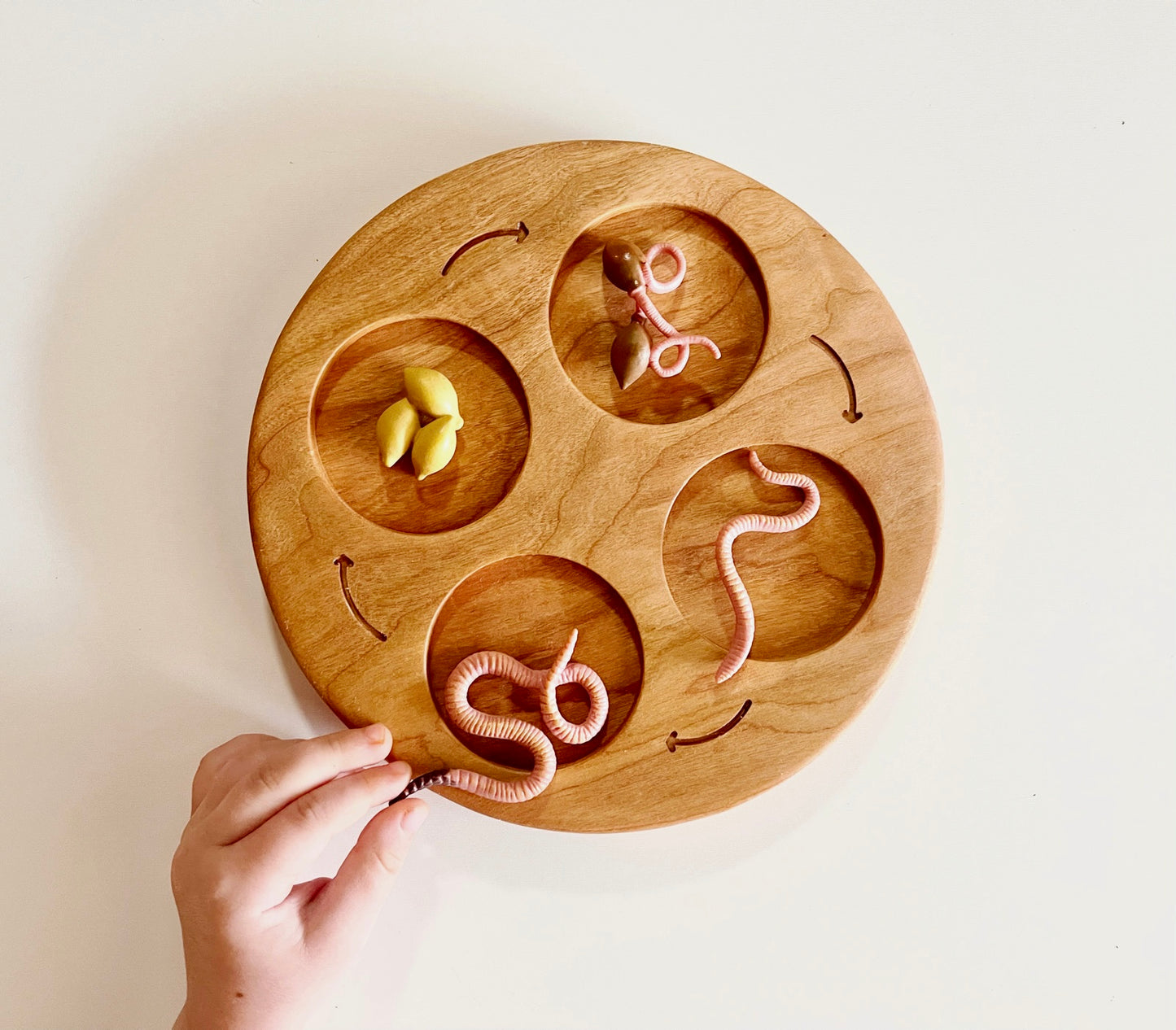 LIFE CYCLE 4 part cherry wood educational tray