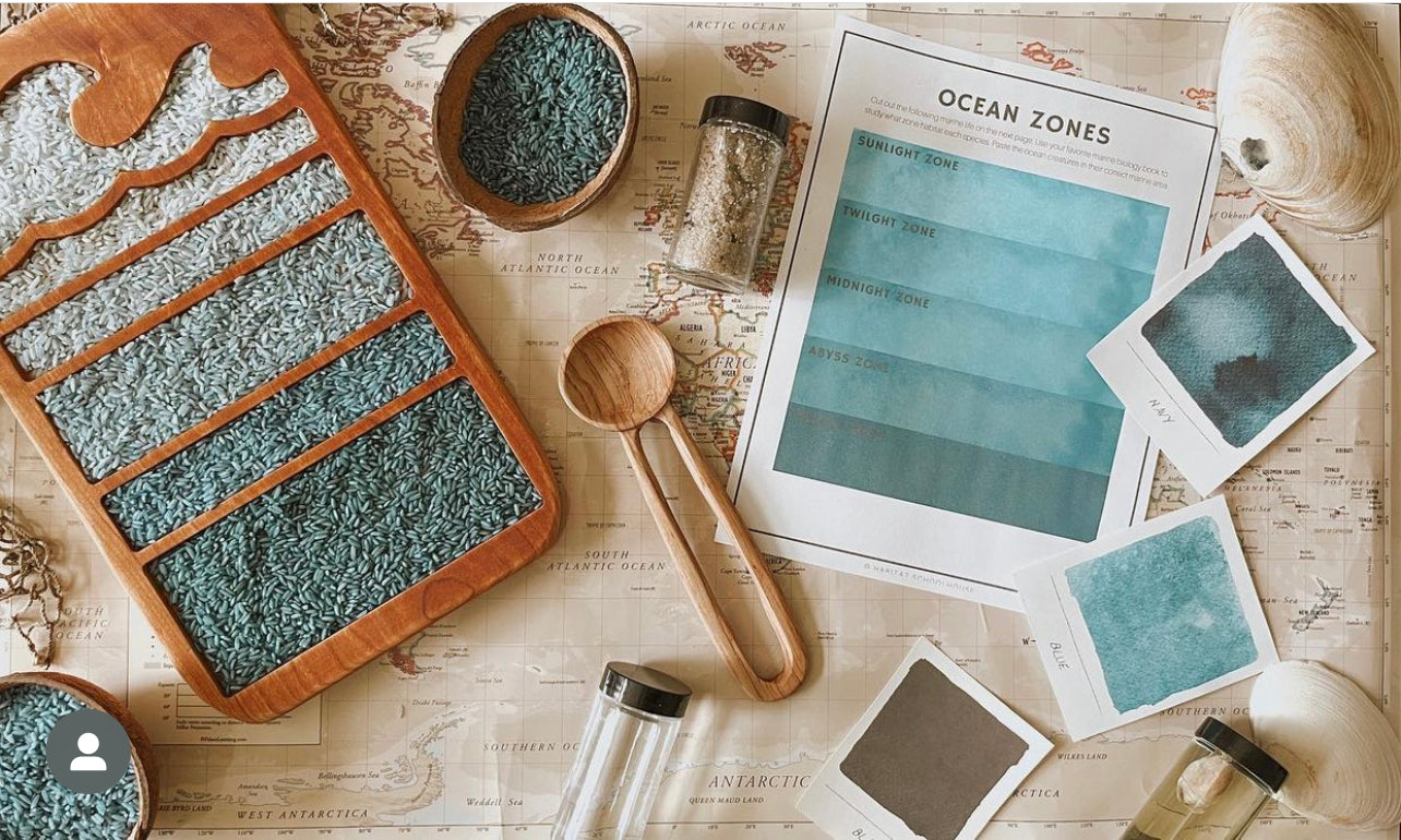 Ocean layers educational tray