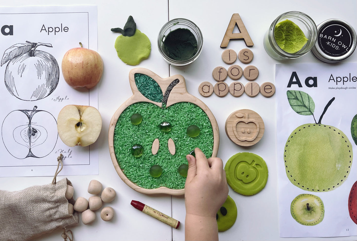 APPLE maple wood Sensory tray