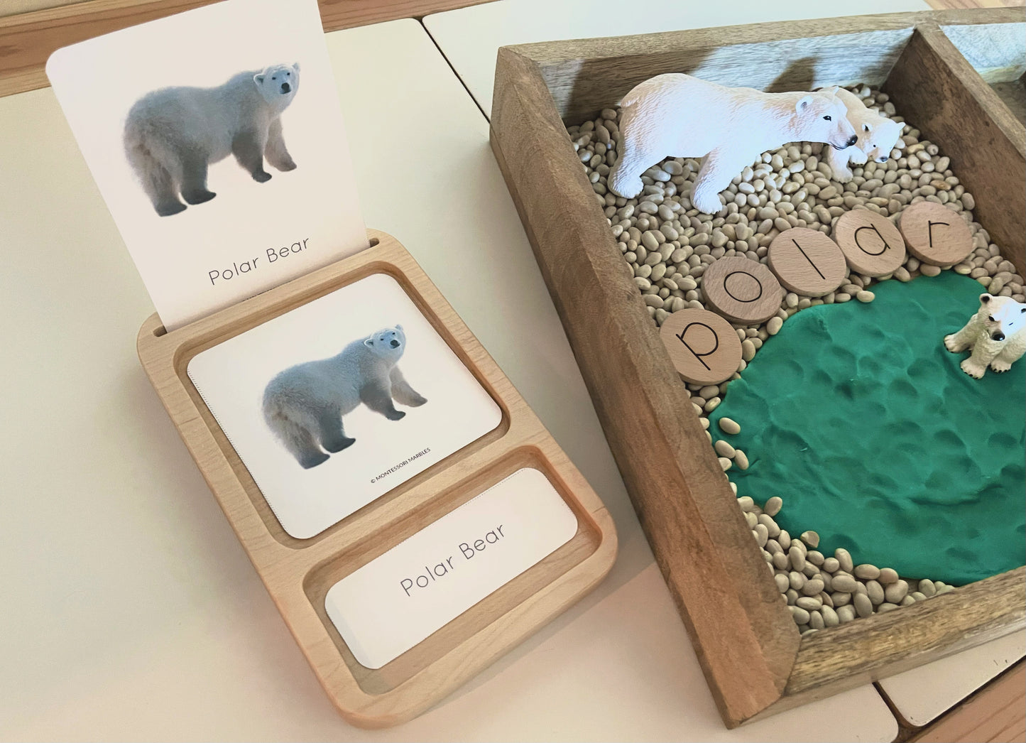 Montessori inspired nomenclature 3 card standing tray