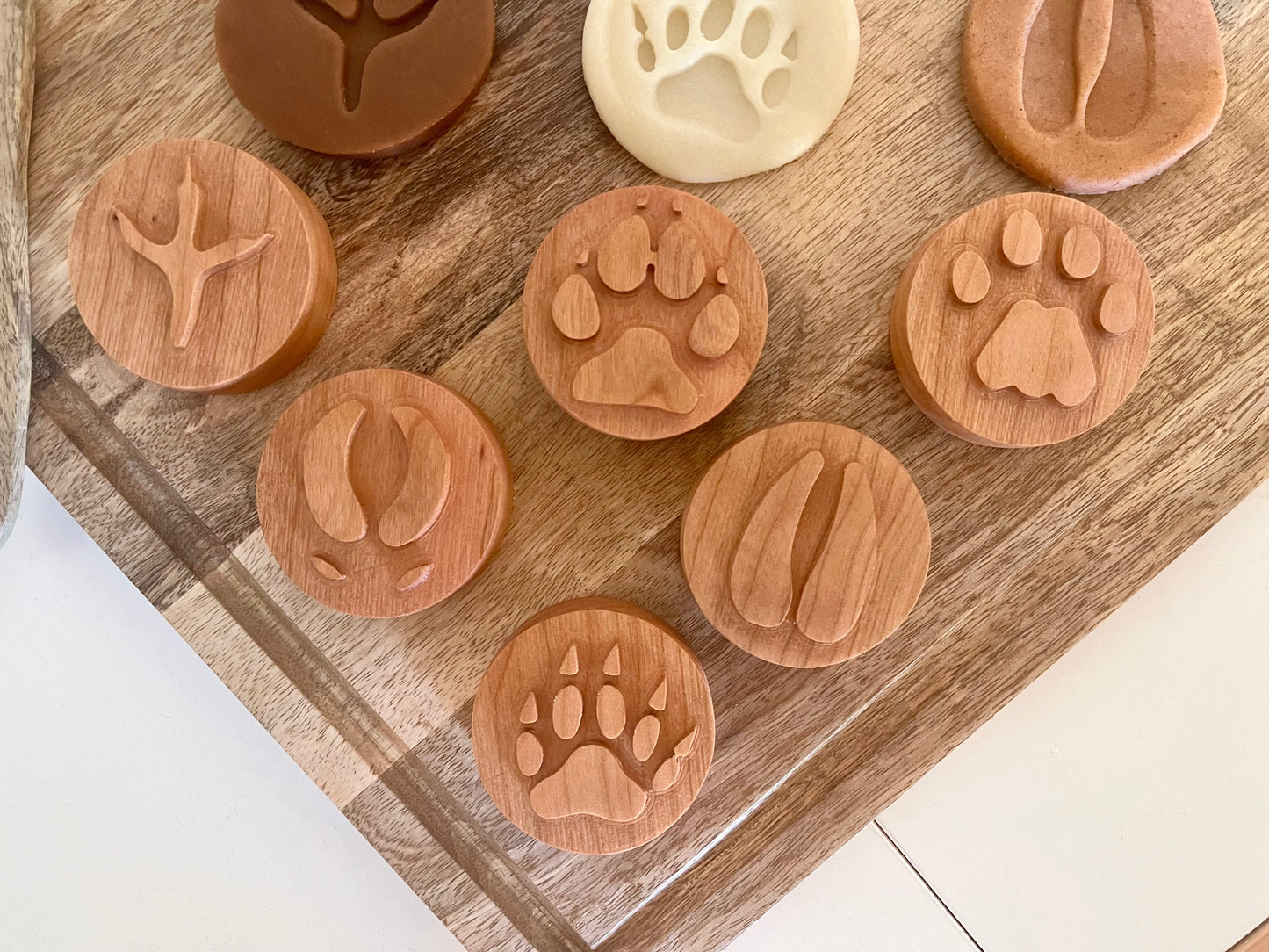 Mountain animal tracks play dough stamp set