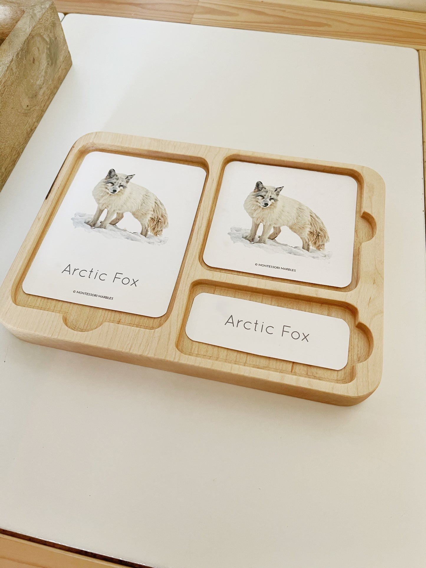 Montessori inspired nomenclature 3 part activity card tray