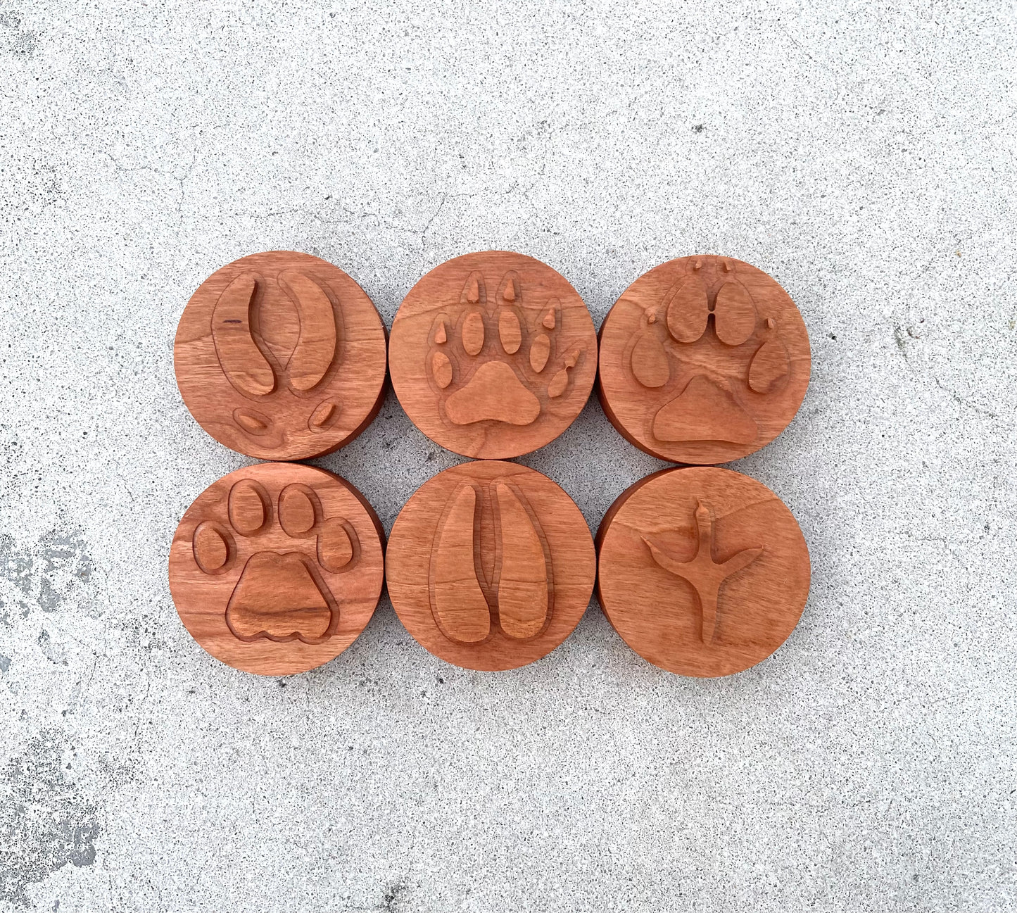 Mountain animal tracks play dough stamp set