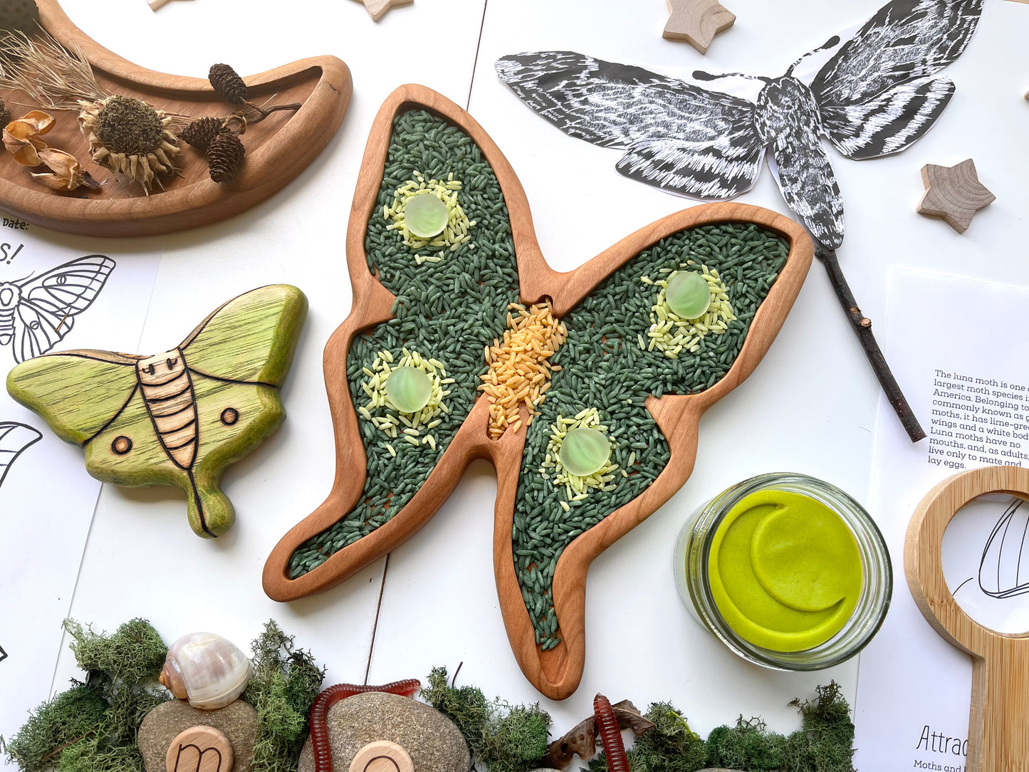 LUNA MOTH cherry wood sensory tray