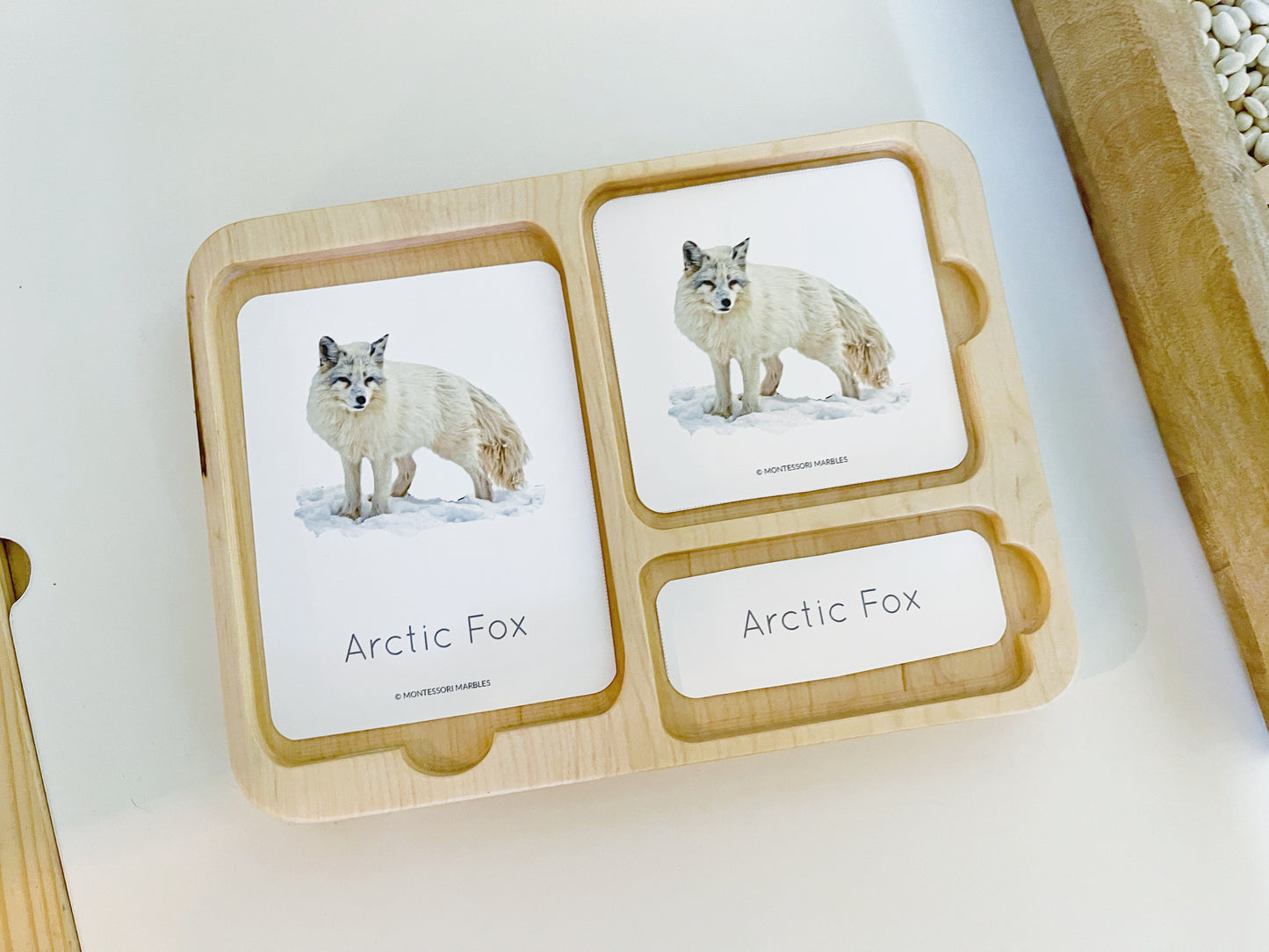 Montessori inspired nomenclature 3 part activity card tray