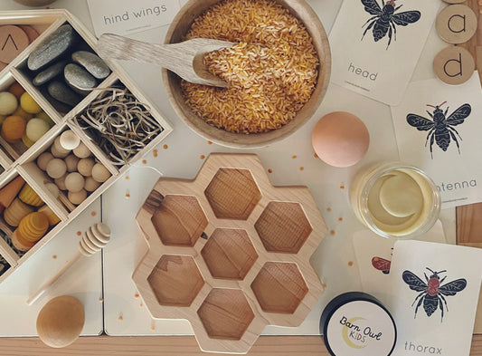 HONEYCOMB sensory tray kit