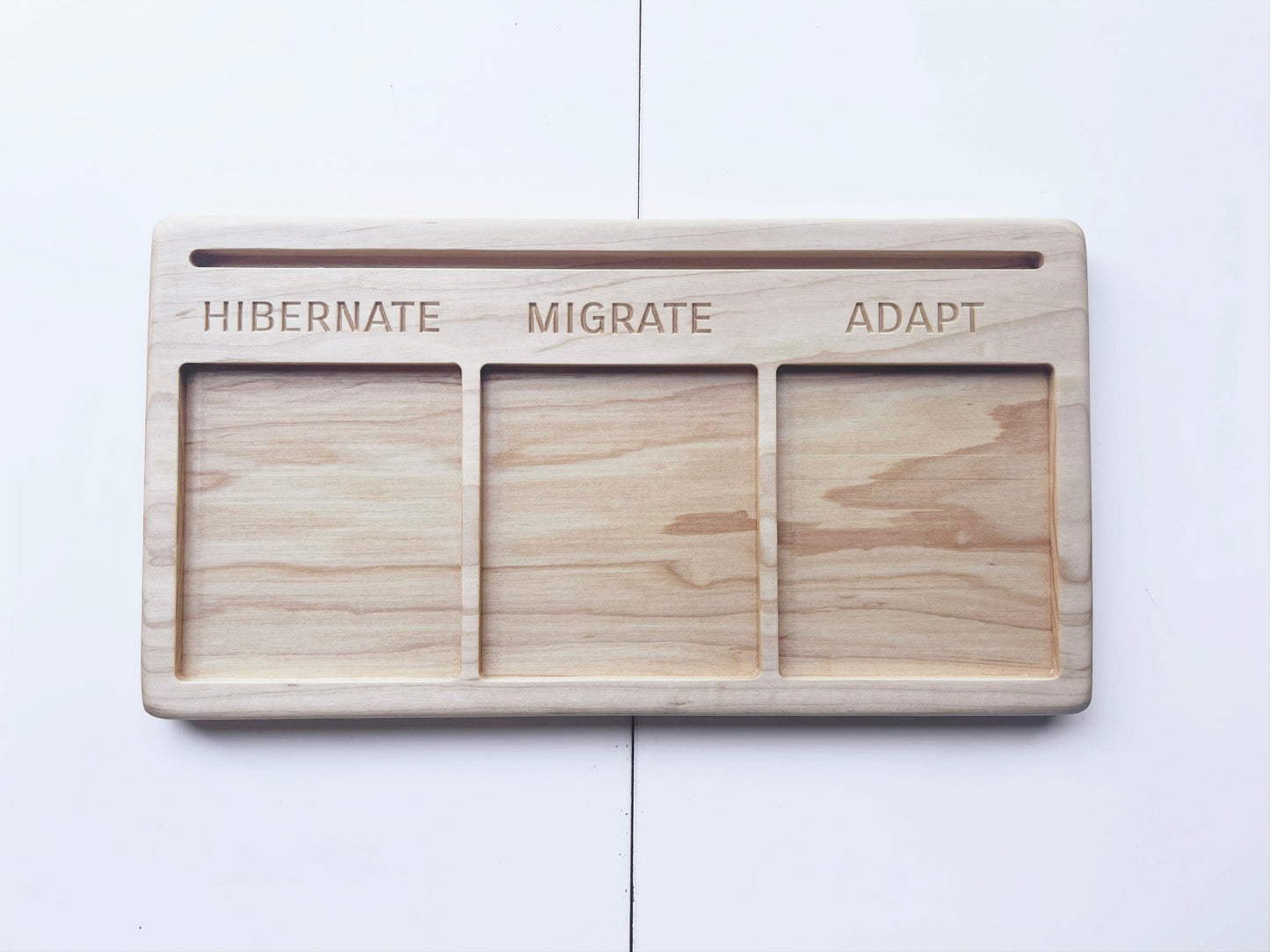 Adaptation educational activity tray