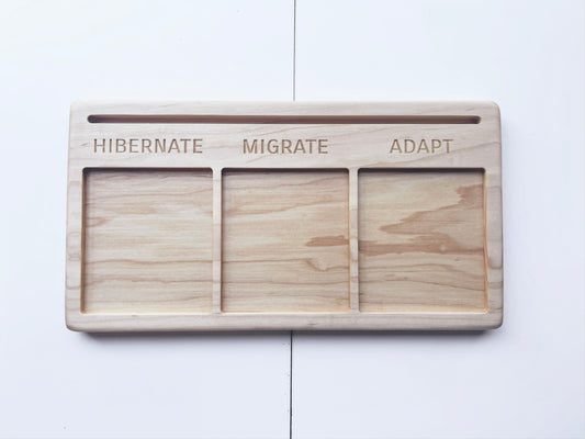 Adaptation educational activity tray