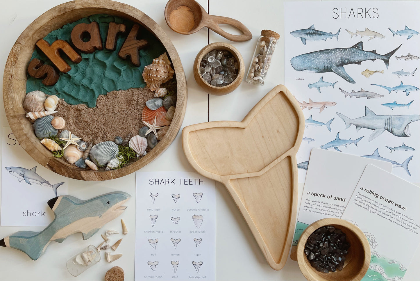 Shark tooth Fossil sensory tray