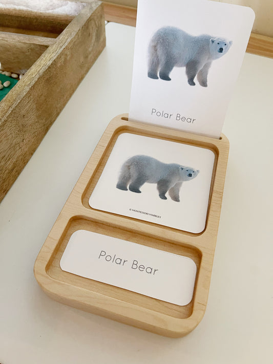 Montessori inspired nomenclature 3 card standing tray