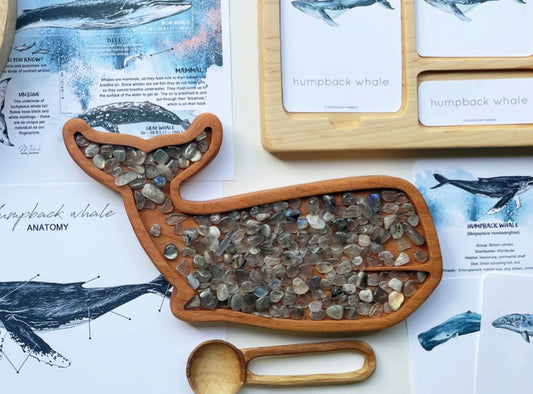 WHALE cherry wood ocean sensory play tray