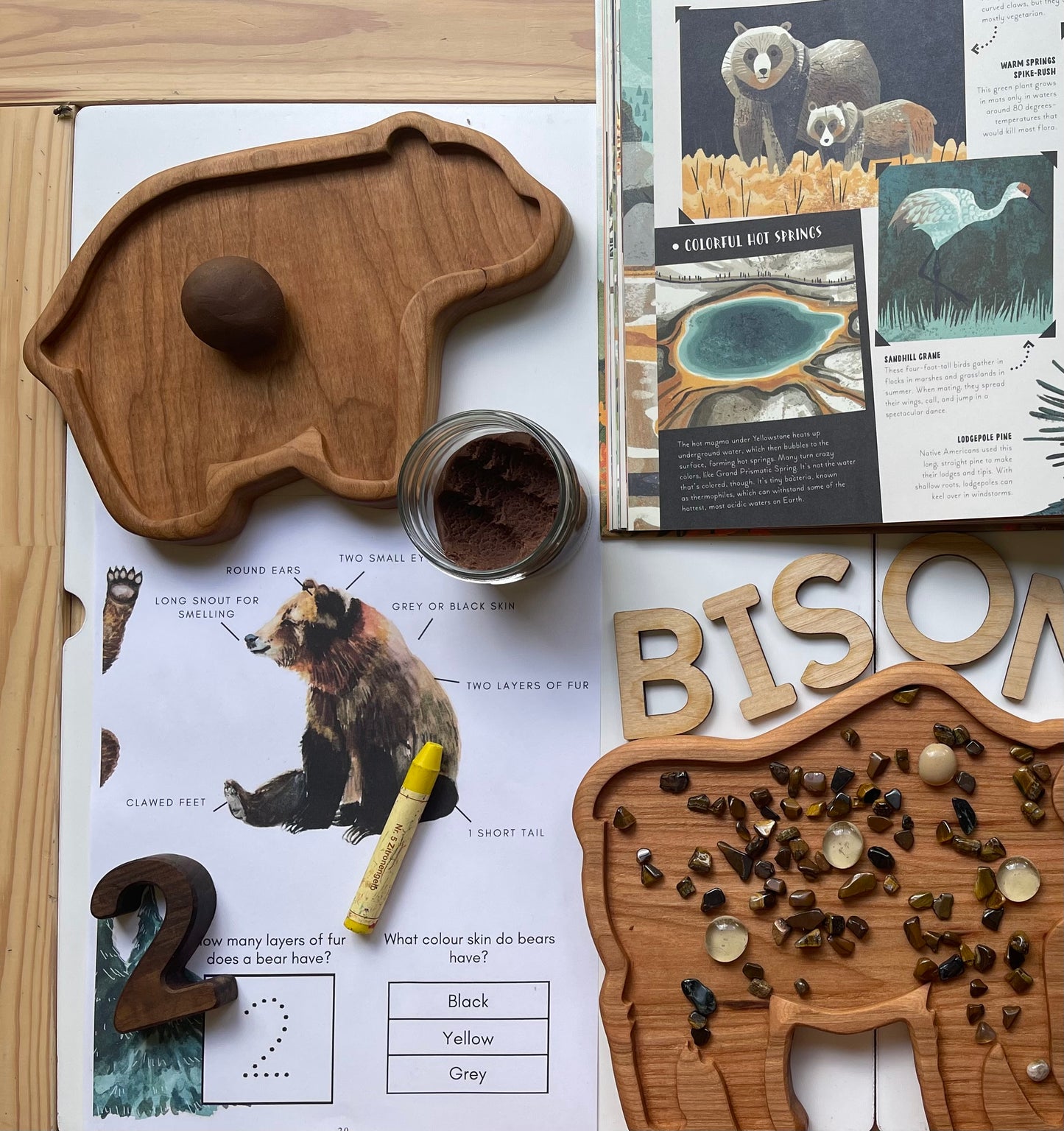 BEAR cherry wood sensory tray